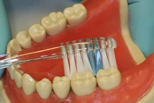 Dentist showing how to correctly brush teeth
