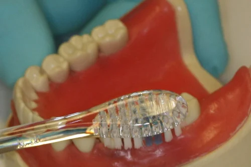 Dentist showing how to correctly brush teeth