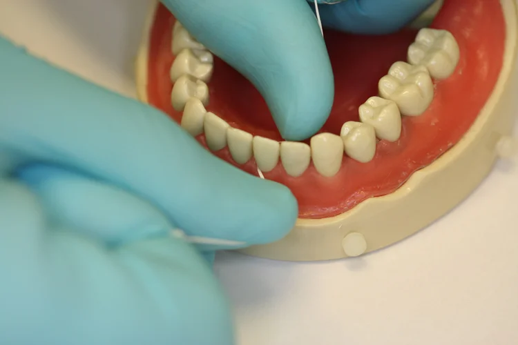 Dentist showing how floss teeth